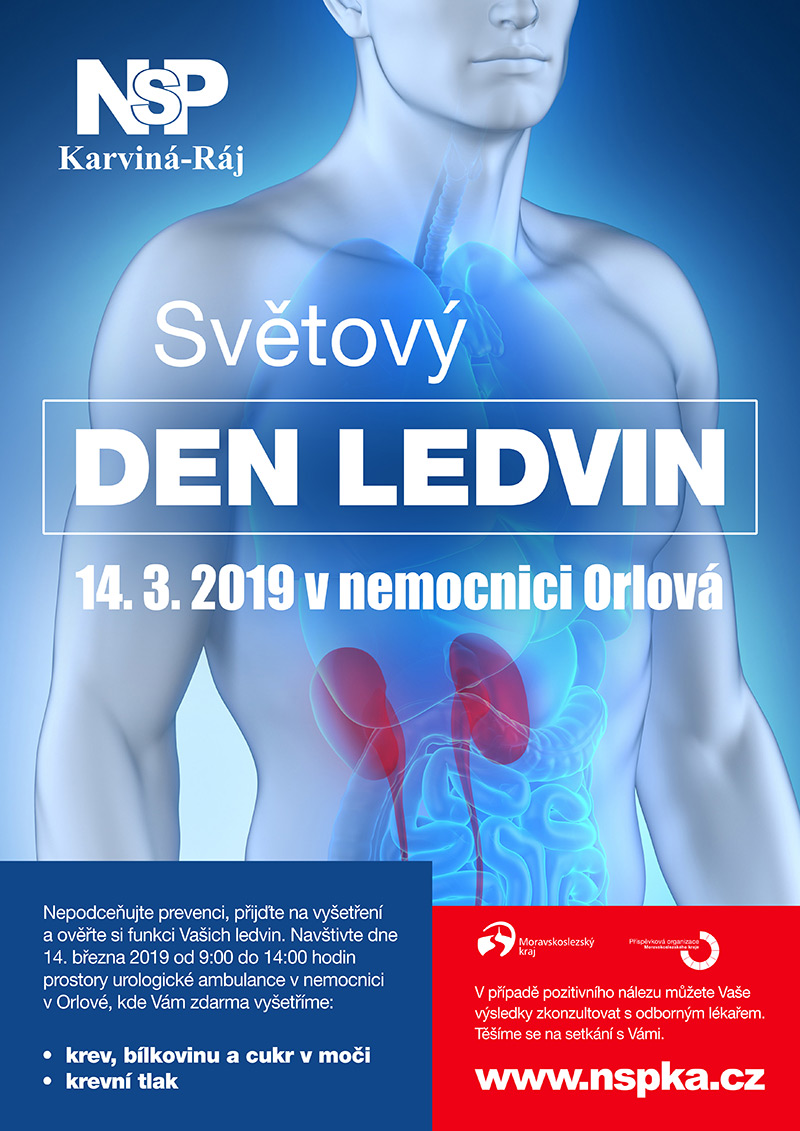 20190305 dooffy plakat nspka den ledvin orlova web