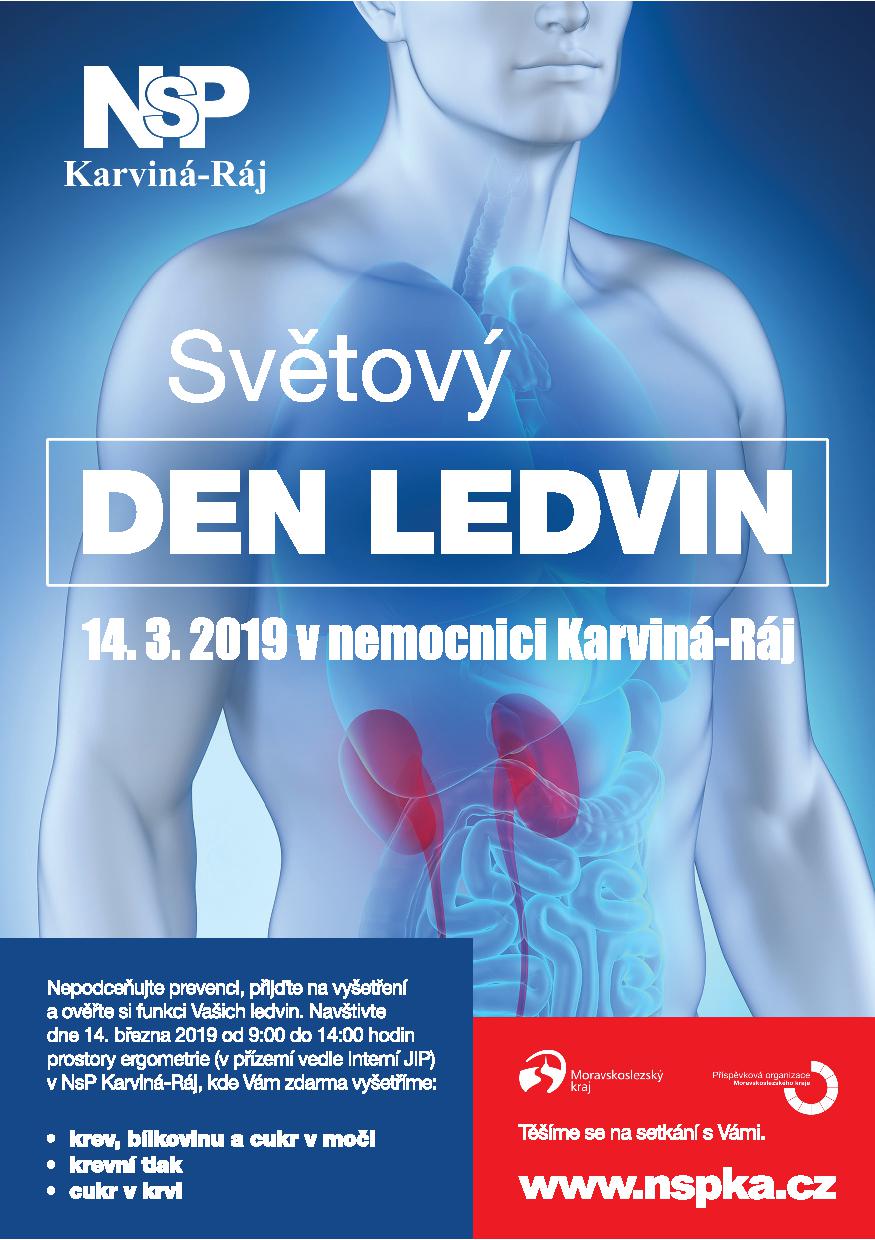 20190305 dooffy plakat nspka den ledvin A5 karvina